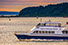 massDot ferry near Seascape at Weymouth on the South Shore