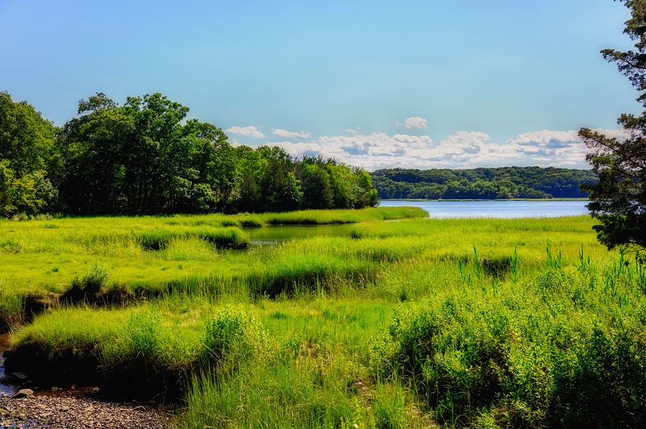 Bare Cove in the early afternoon near Seascape at Weymouth